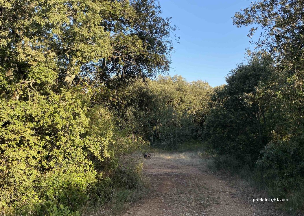 (83560) La Verdière - — foto 3