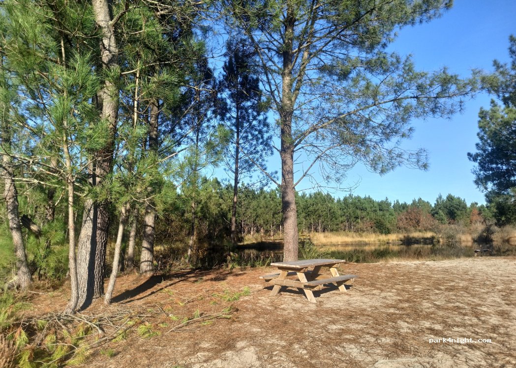 (33770) Salles - Unnamed Road — foto