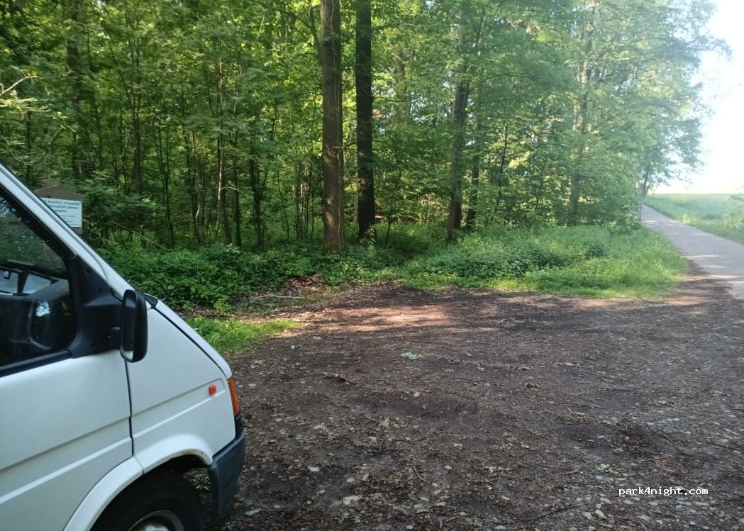 (09661) Rossau - Die Linie — foto 3