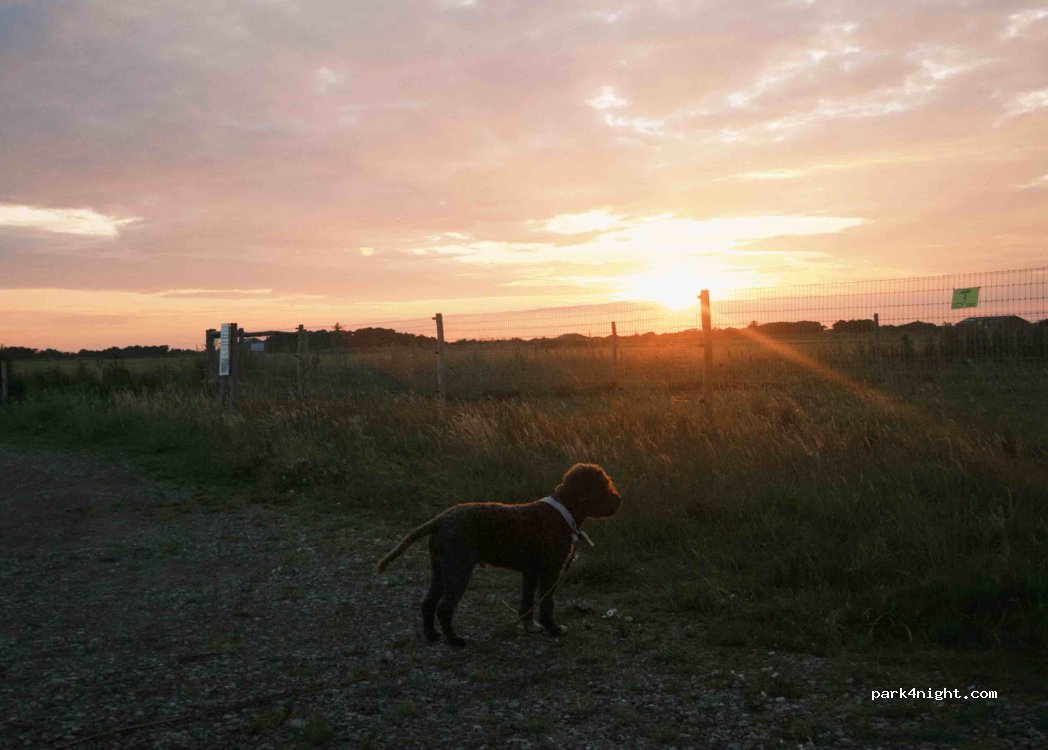 (6792) Rømø - Unnamed Road — foto 5