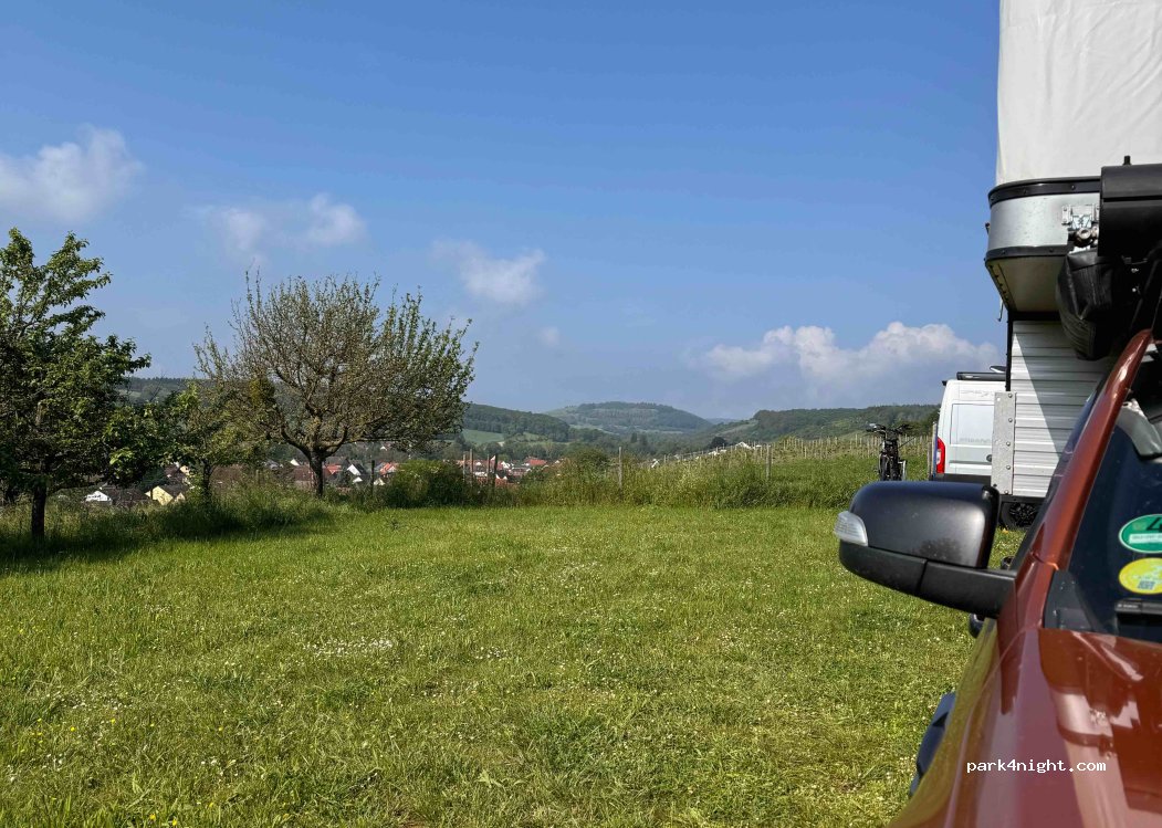 (55595) Weinsheim - 4A Zum Rosengarten — foto 3