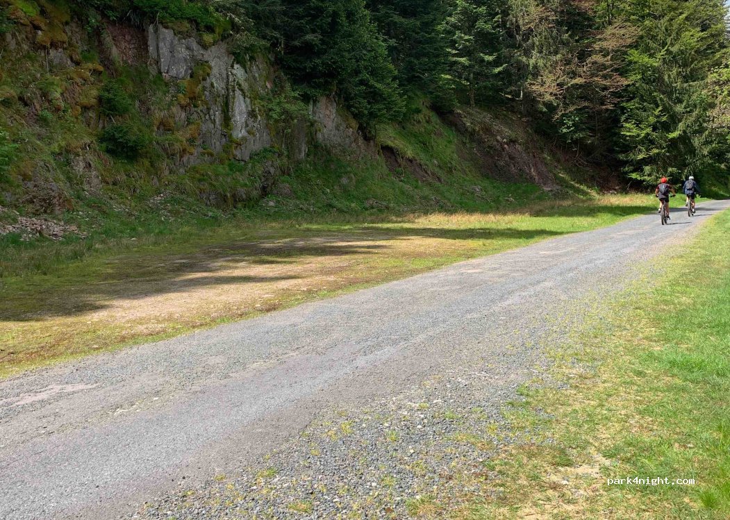 (88400) Gérardmer - 120 Chemin des 17 Kms — foto