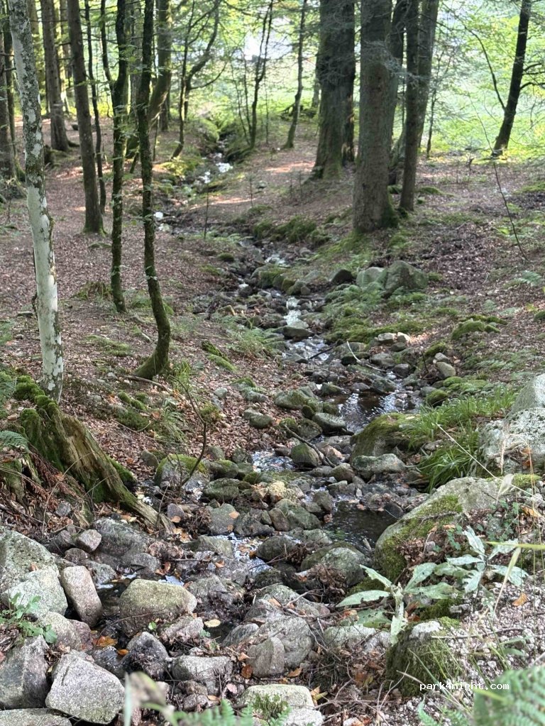 (88250) La Bresse - 459 Blanchemer — foto 3