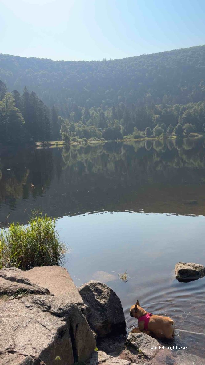 (88250) La Bresse - 459 Blanchemer — foto 4