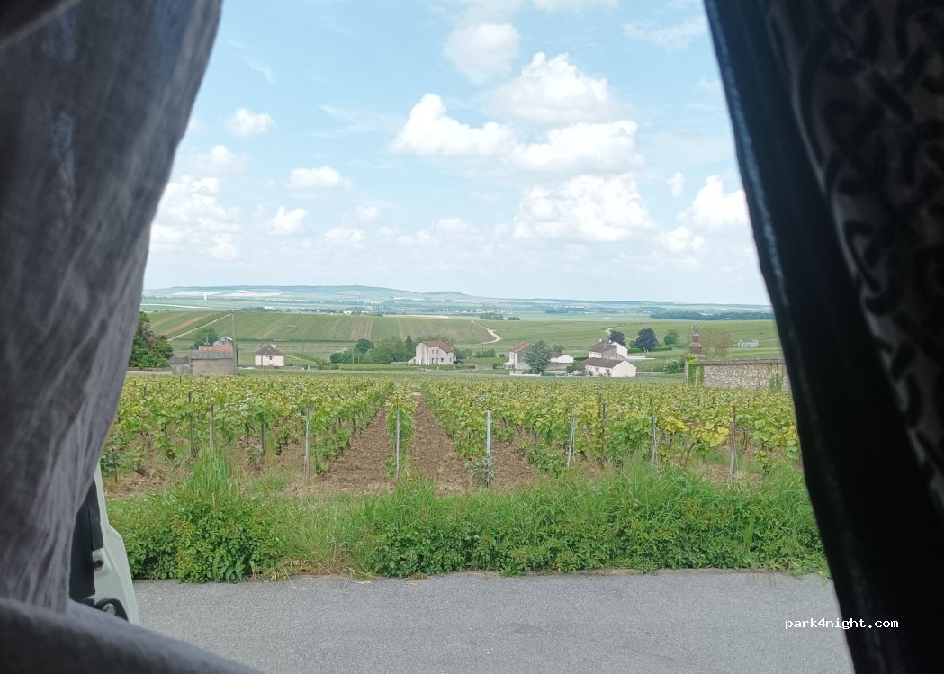 (51500) Ludes - 33 Rue de ville en Selve — foto 2