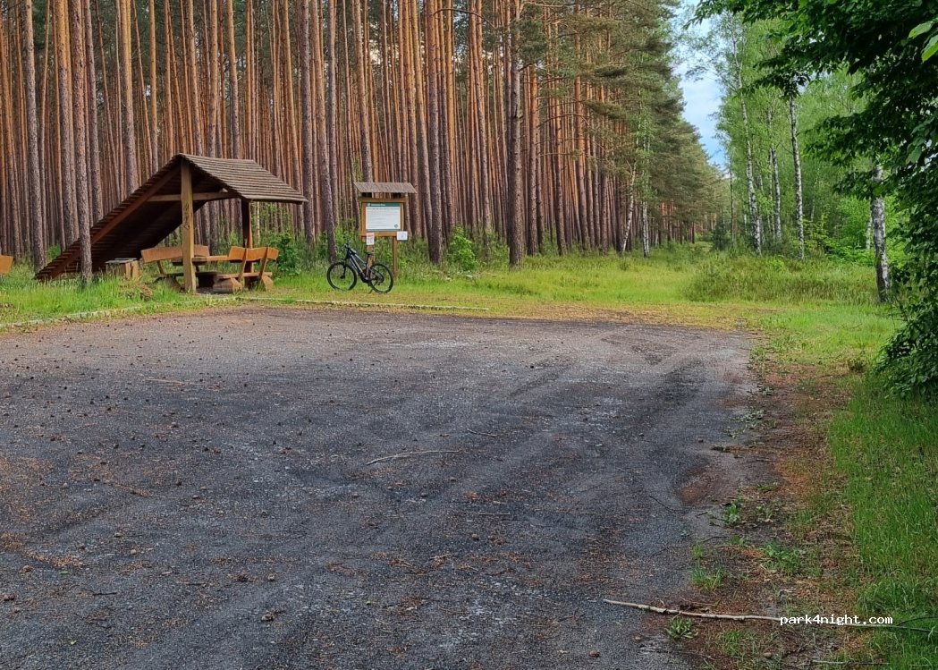 (69) Torzym - Unnamed Road — foto