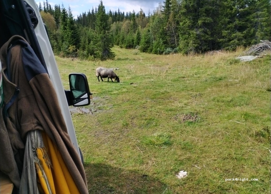 (2618) Lillehammer - Nordsetervegen — foto 2