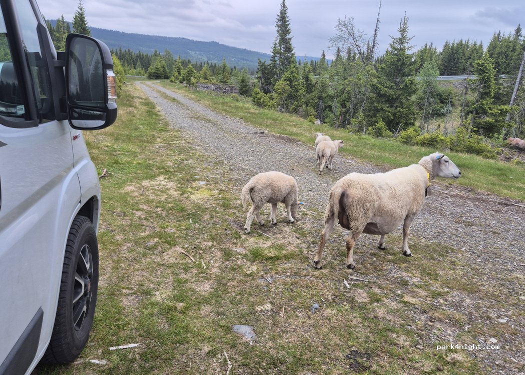 (2618) Lillehammer - Nordsetervegen — foto 3