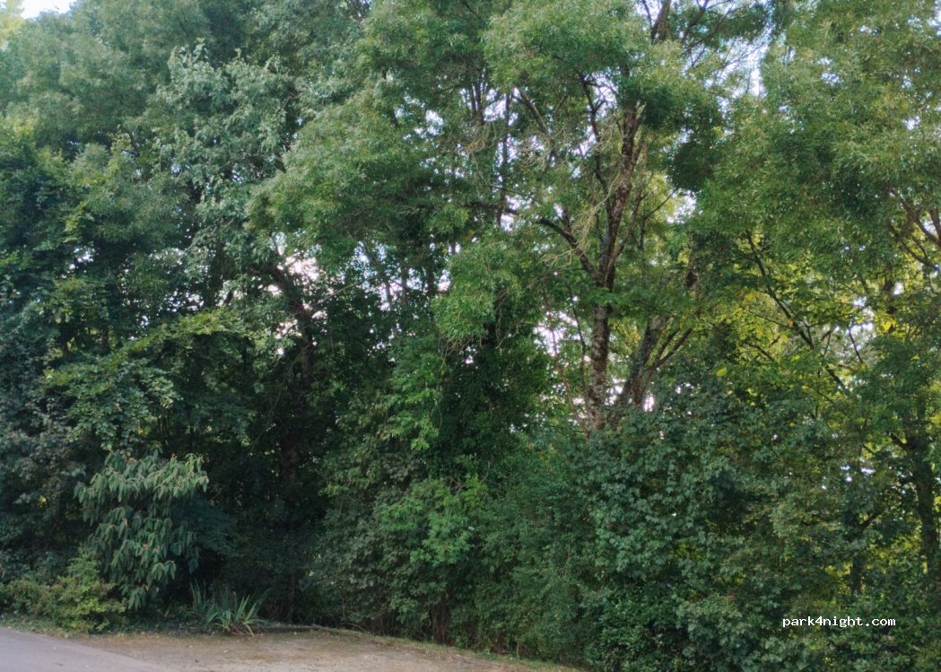(44260) Malville - 1 Promenade du Thalweg — foto 3