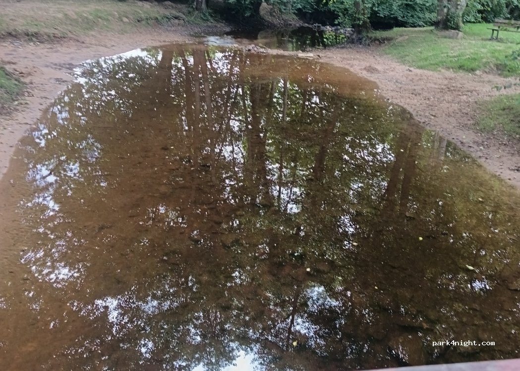 (89420) Sainte-Magnance - Unnamed Road — foto 5