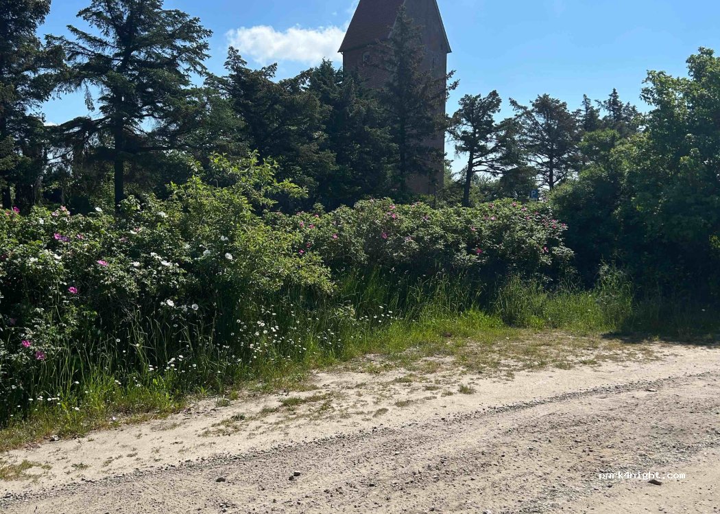 (25980) Sylt-Ost - 333 Munkmarscher Chaussee — foto
