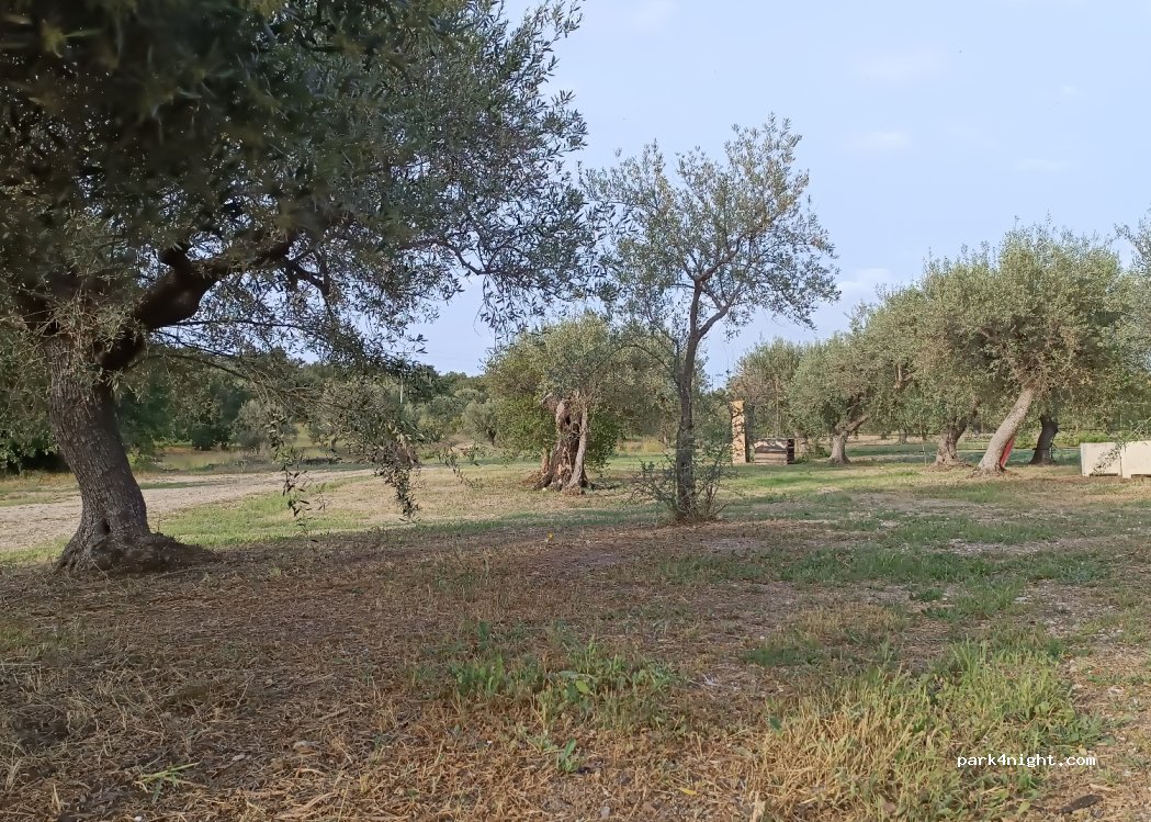 Flora Iblea Organic Farm — foto