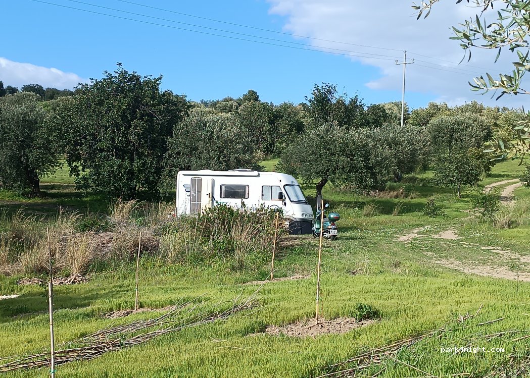 Flora Iblea Organic Farm — foto 4