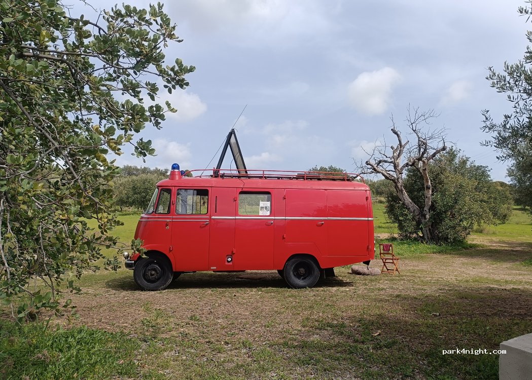 Flora Iblea Organic Farm — foto 5