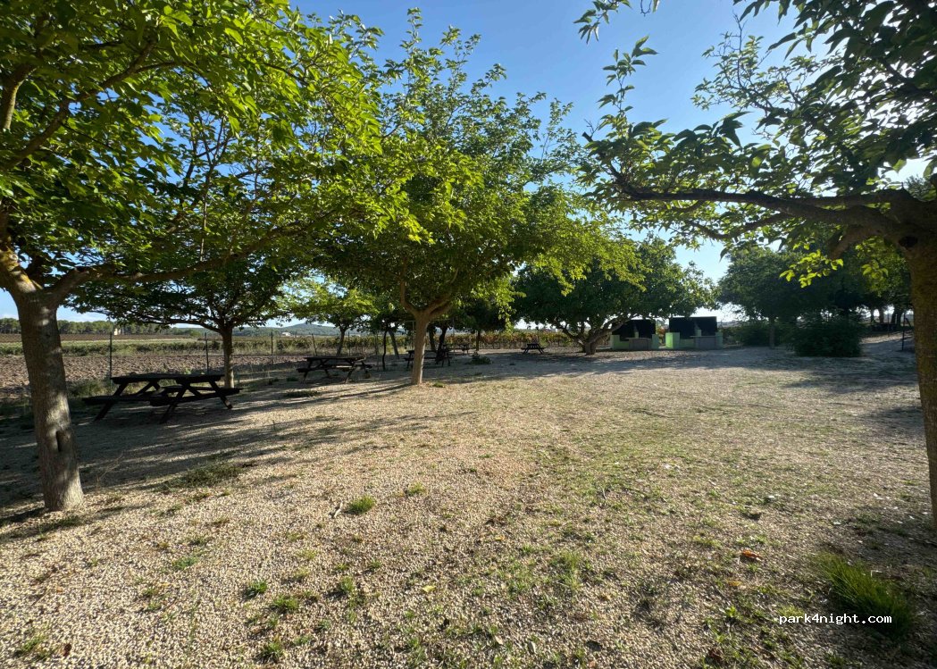 (46635) Fontanars dels Alforins - 31 Plaça Poligono 33 — foto 4