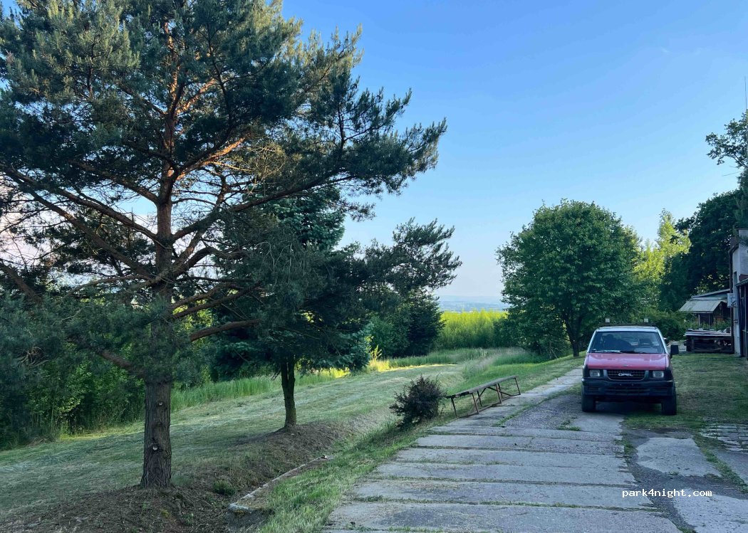 PlainWood — foto 2