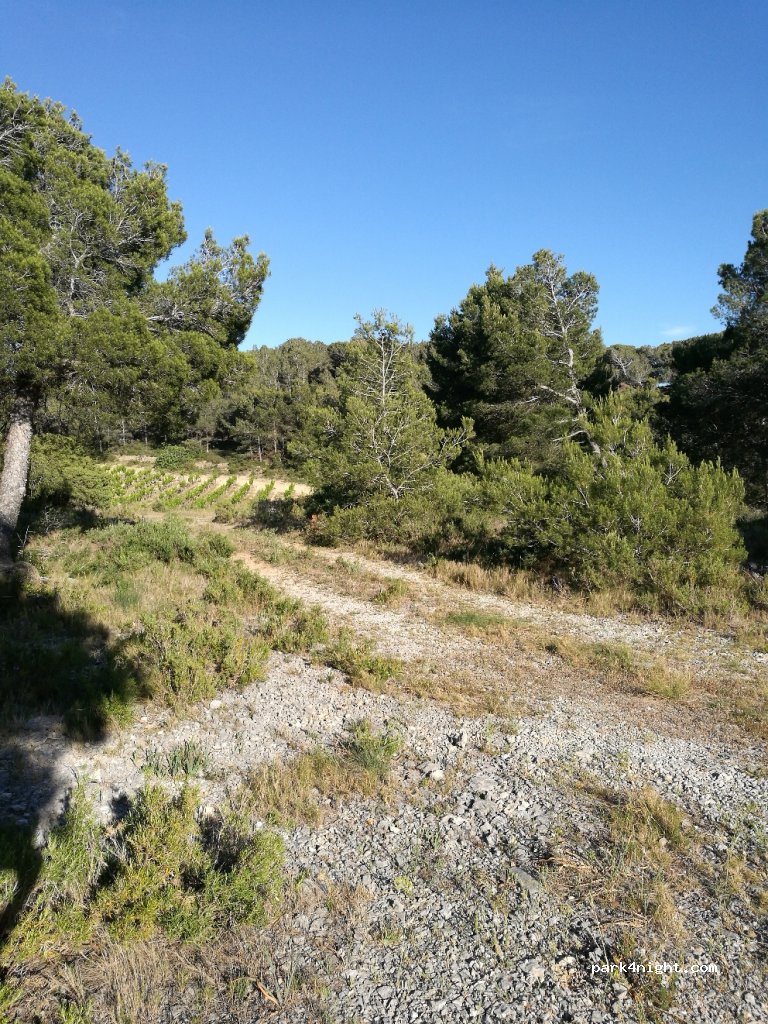 (11430) Gruissan - Unnamed Road — foto 3
