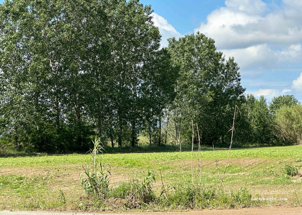 (17142) Verges - — foto 2