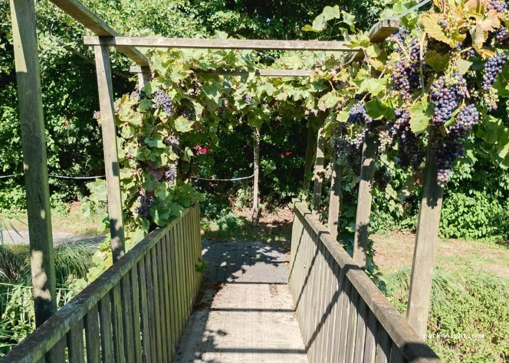 Recreatieboerderij Slachtehiem — foto 4