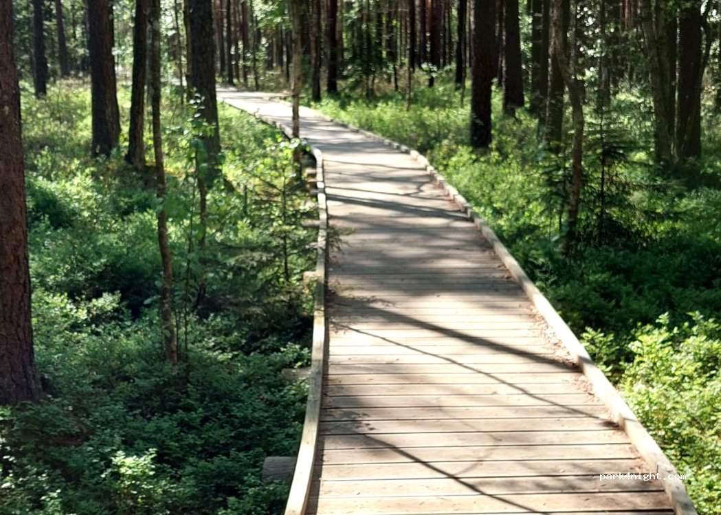 (3314) Kalnansi - Unnamed Road — foto 2