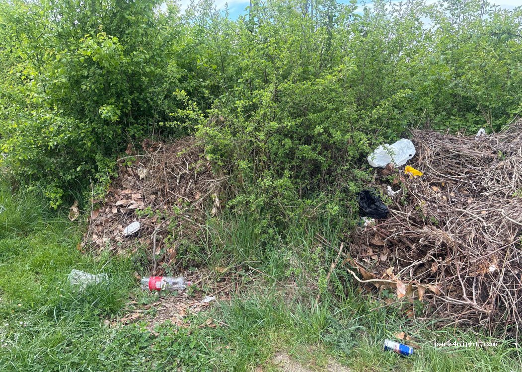 (77130) La Grande-Paroisse - La Mivoie — foto 4