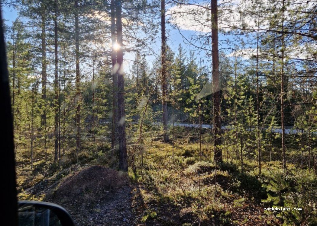 (99600) Valimaa - 885 Savukoskentie — foto 2
