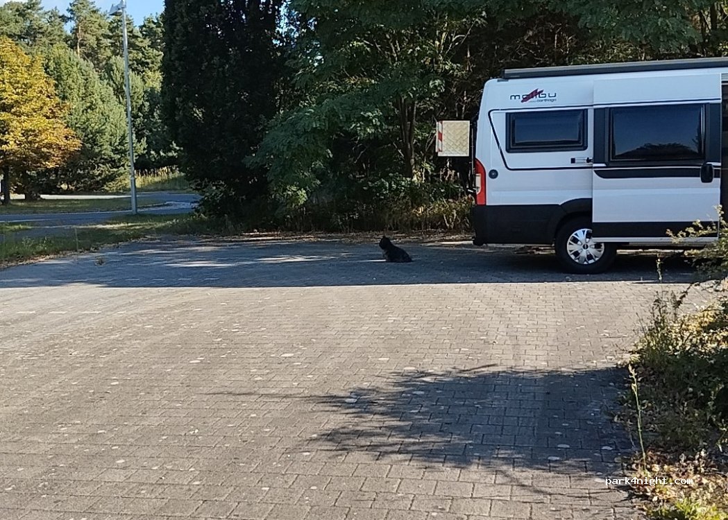 (15757) Halbe - 1 Sonnenallee — foto 4