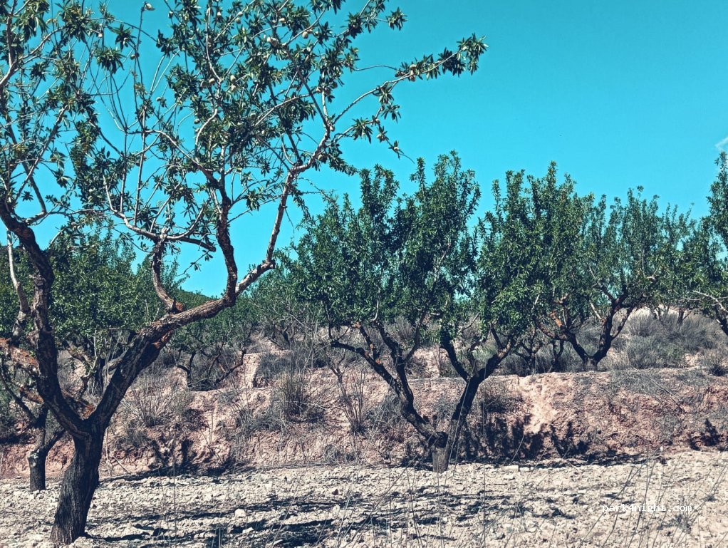 geoSPOT — foto 2
