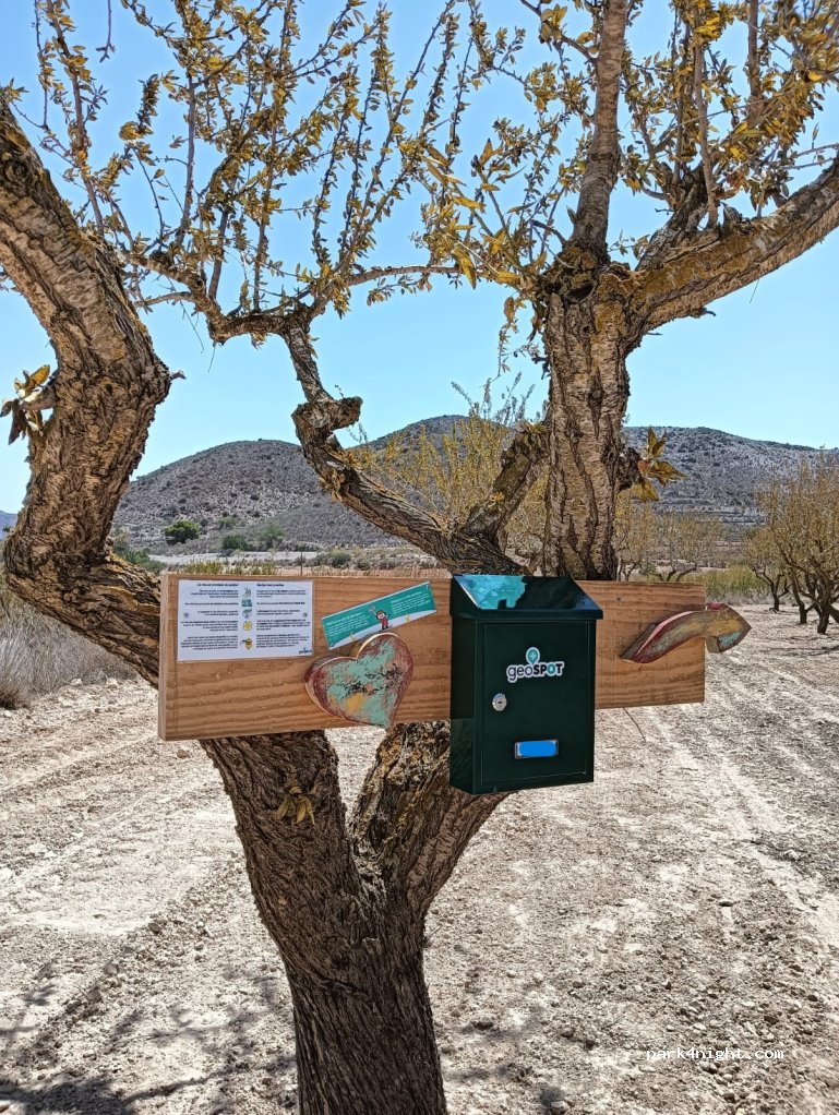 geoSPOT — foto 5