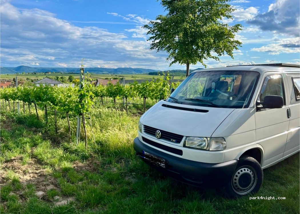 Asbacher Klosterkeller — foto
