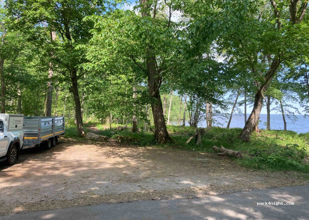 (533 94) Hönsäter - — foto
