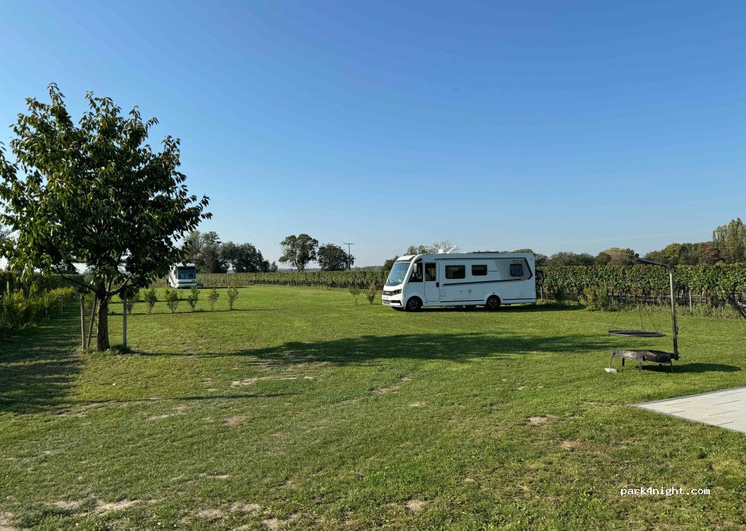 Wohnmobilstellplatz BIO Weingut Volker Schäfer — foto 2