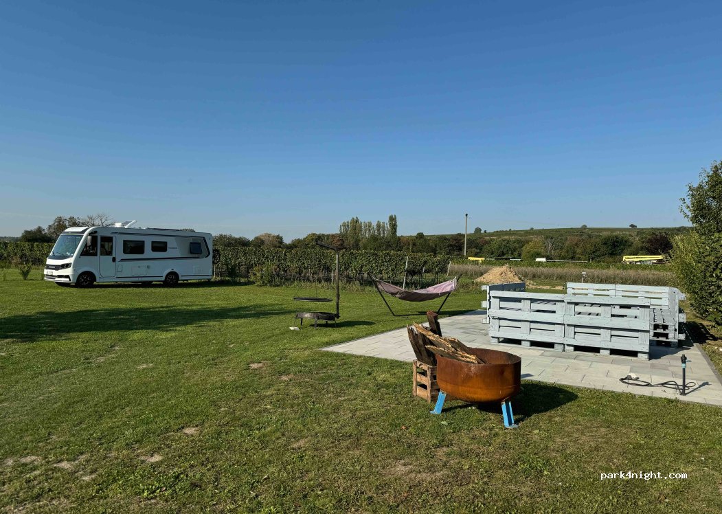 Wohnmobilstellplatz BIO Weingut Volker Schäfer — foto 3