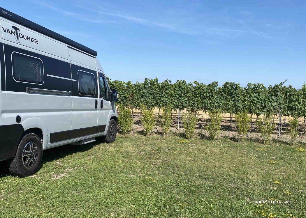 Wohnmobilstellplatz BIO Weingut Volker Schäfer — foto 4