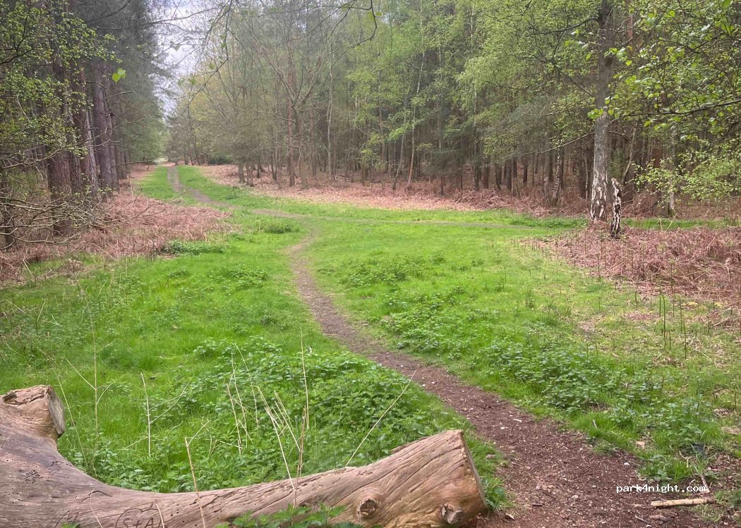 (PE35 6EZ) Glucksburg - Unnamed Road — foto 4