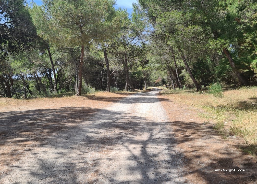 (29552) El Chorro - — foto 4