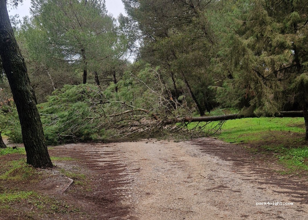 (29552) El Chorro - — foto 5