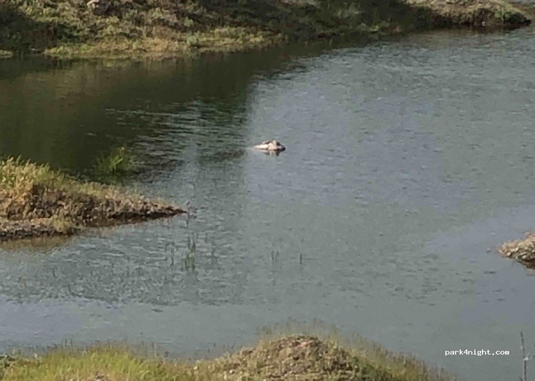(23502) Baltaşı Bahçelievler - — foto 2