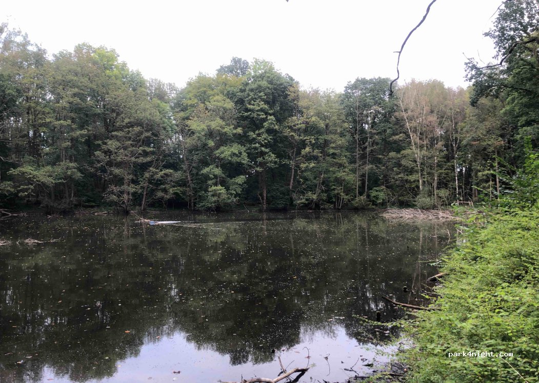 (41065) Mönchengladbach - 65 Peter-Krall-Straße — foto 2