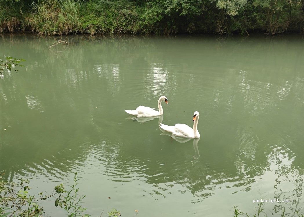 (38150) Salaise-sur-Sanne - — foto 2