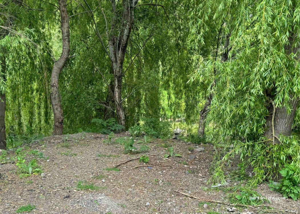 () Korkhi - S11 — foto