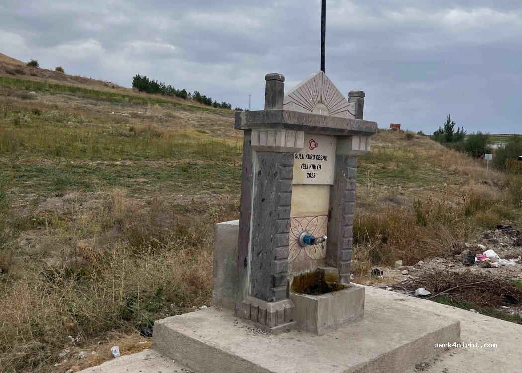 (38800) Pınarbaşı - D300 — foto