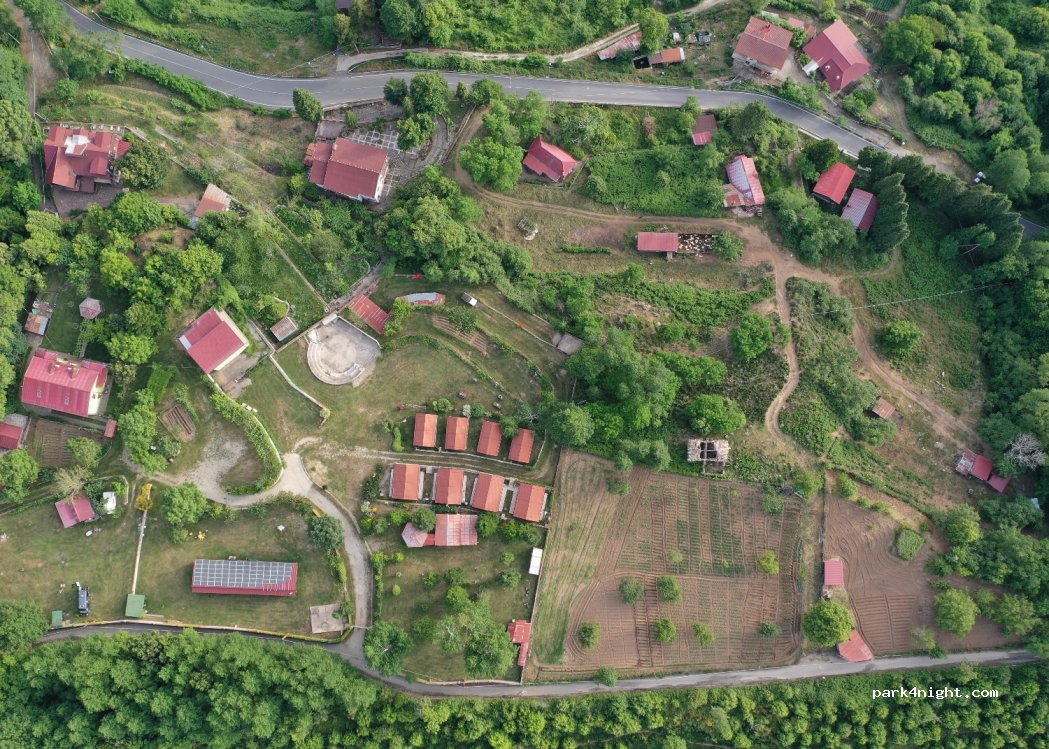 Primi Faggi — foto 2