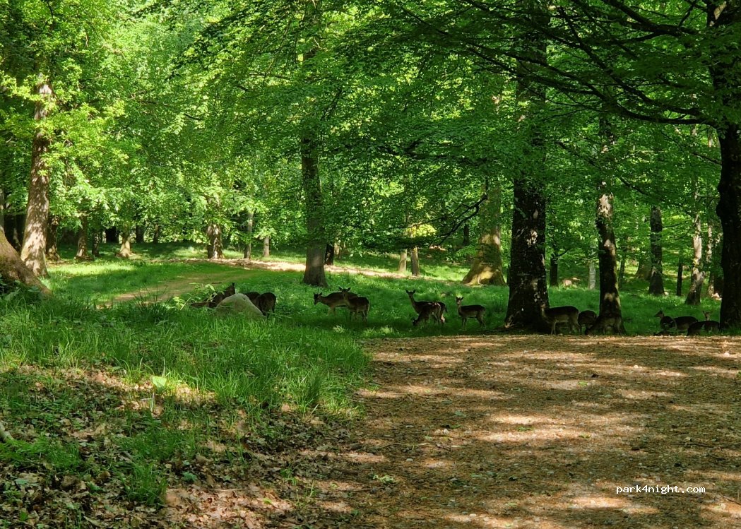 (6100) Haderslev - Unnamed Road — foto