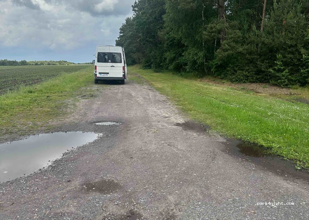 (49419) Wagenfeld - Forstweg — foto 2
