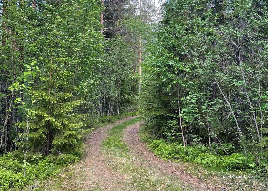 () Kongsberg - Unnamed Road — foto