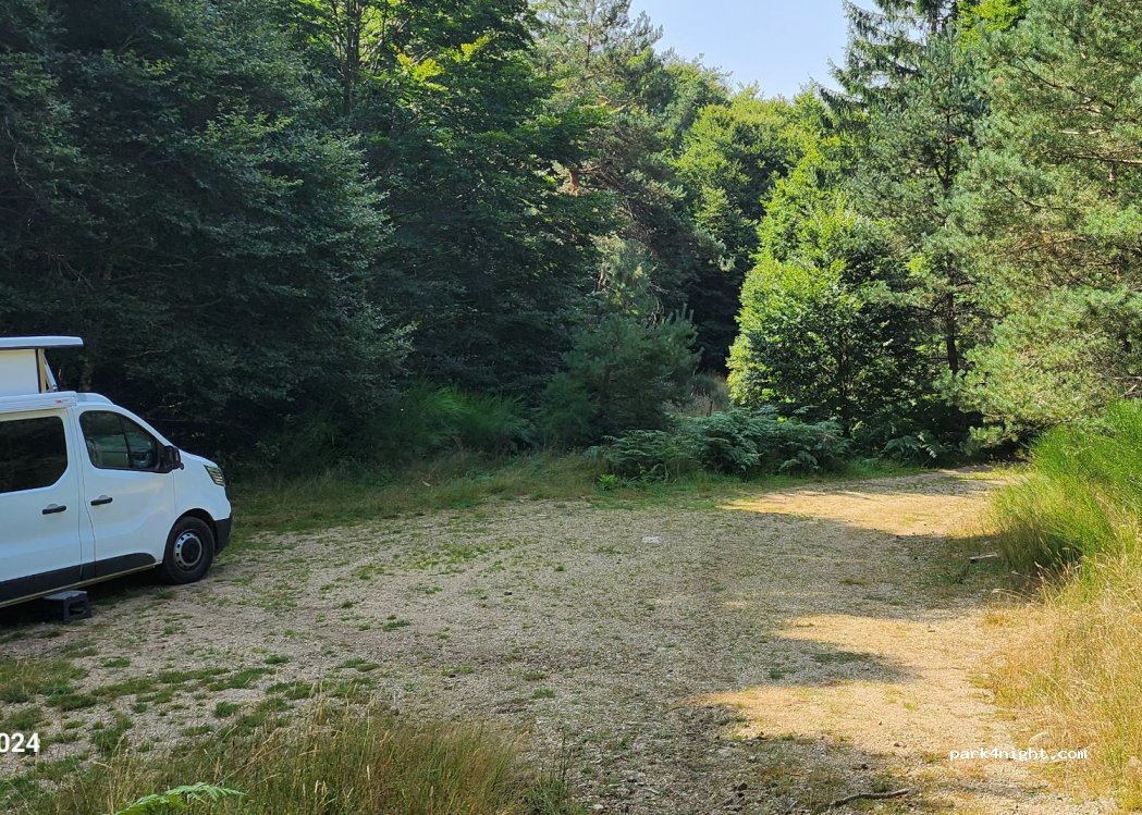 (30750) Saint-Sauveur-Camprieu - 162 Le Devois — foto 3