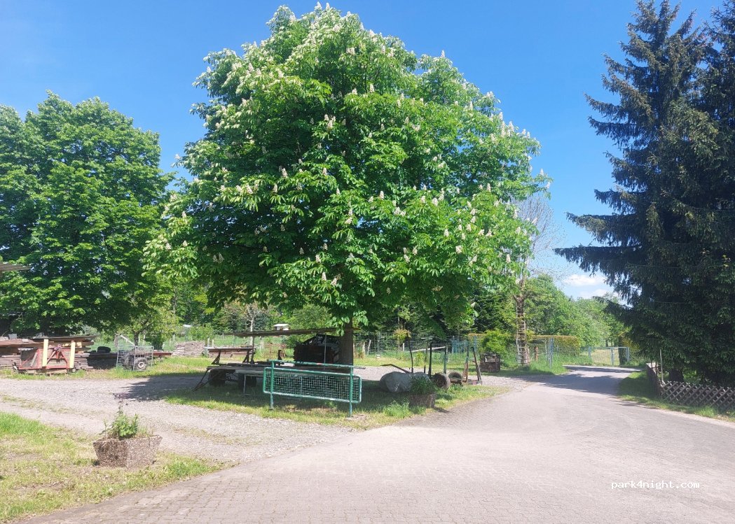 (51580) Reichshof - 11 Am Bleiberg — foto 4