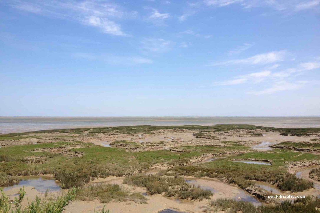 (17550) Dolus-d'Oléron - Unnamed Road — foto 2