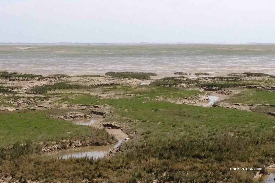 (17550) Dolus-d'Oléron - Unnamed Road — foto 4